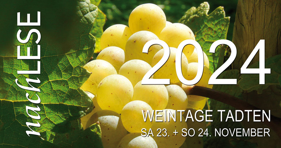 2024_nachlese_front Flyer nachLESE 2024 Vorderseite